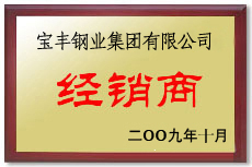 巨鹿宝丰经销商